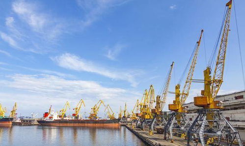 我國遠洋海運沿岸有經營權的重要港口有哪些 有什么意義和作用