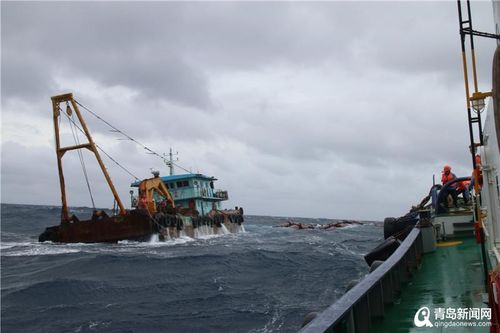 從水手到巨輪領路人 山東港口青島港的拖輪專家與船員接送服務